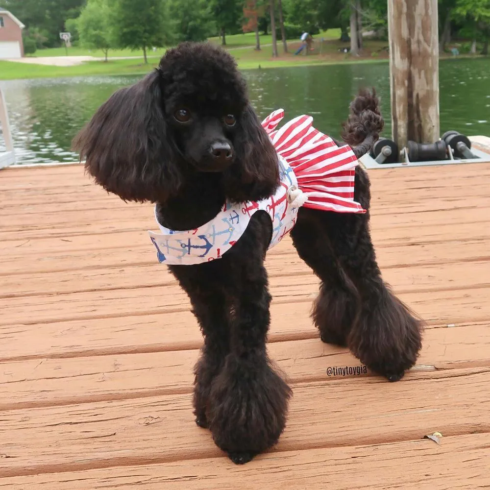 Nautical Sailor Dog Harness Dress