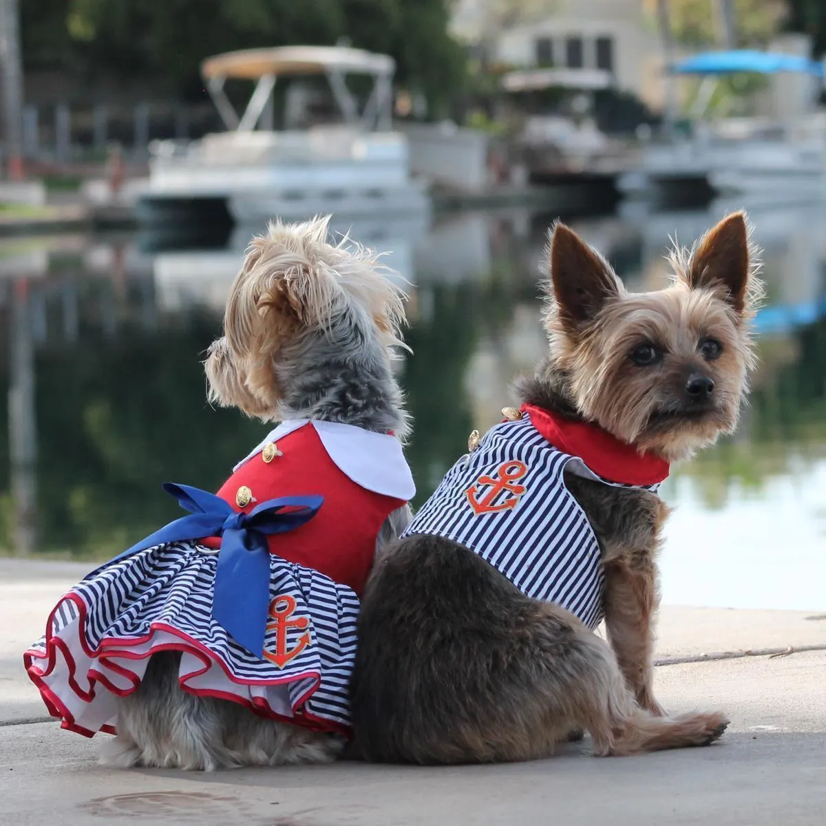 Sailor Girl Dog Dress/Matching Leash